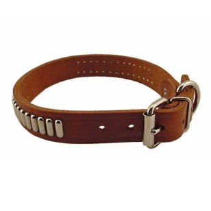 Dog Collar